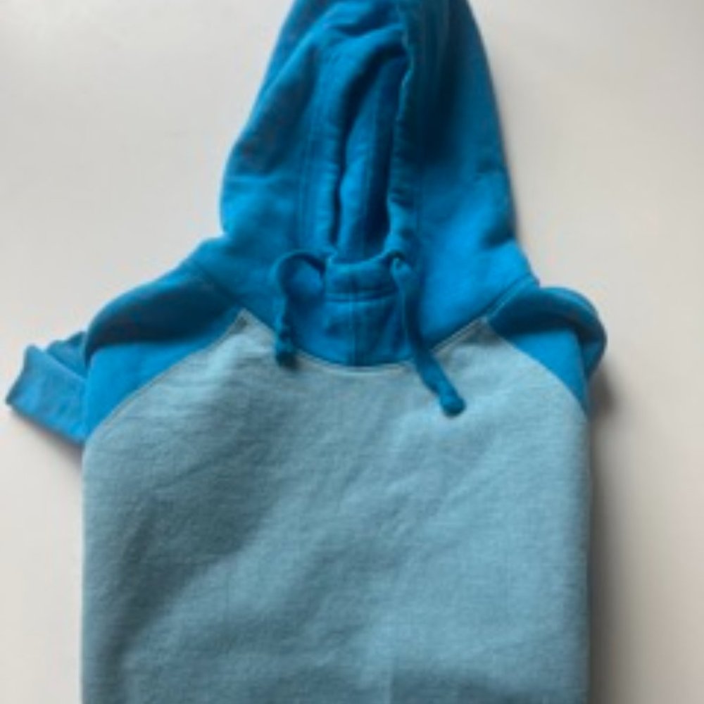 Vintage Blue Colorblock Champion Sweatshirt